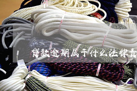 贷款逾期属于什么法律责任 贷款逾期属于什么法律责任