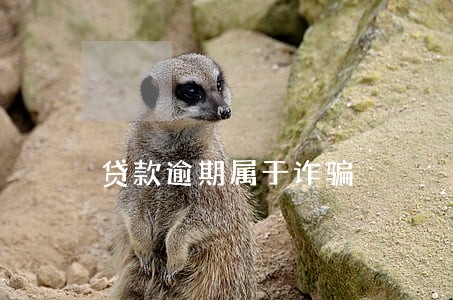 贷款逾期属于诈骗 贷款逾期属于诈骗