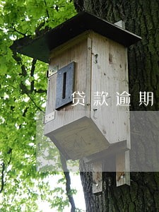 贷款逾期属于负债吗 贷款逾期属于负债吗