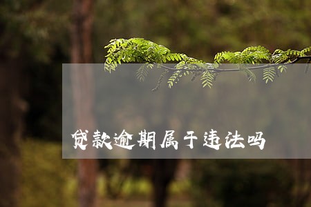 贷款逾期属于违法吗 贷款逾期属于违法吗