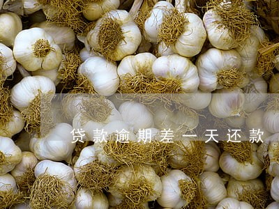 贷款逾期差一天还款 贷款逾期差一天还款