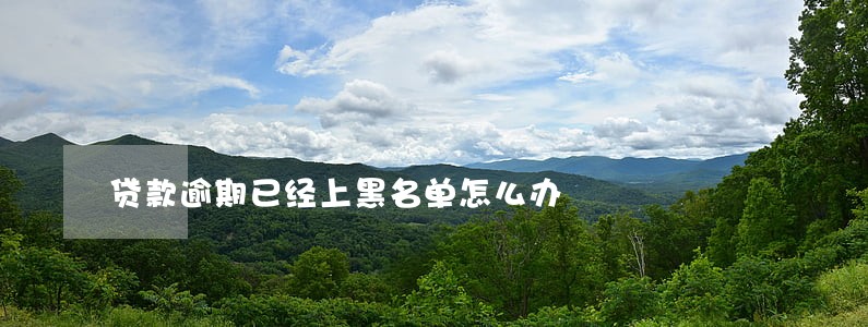 贷款逾期已经上黑名单怎么办 贷款逾期已经上黑名单怎么办