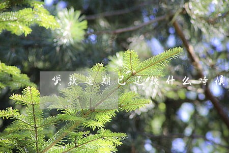 贷款逾期已还款什么时候消除 贷款逾期已还款什么时候消除