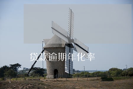 贷款逾期年化率 贷款逾期年化率