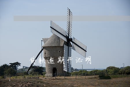 贷款逾期开证明 贷款逾期开证明