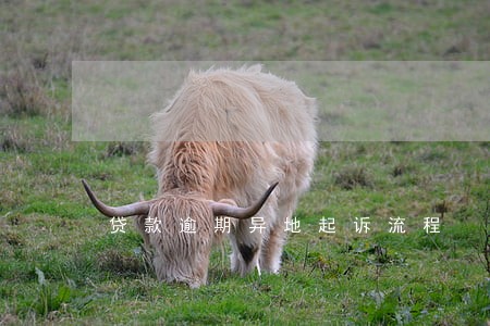 贷款逾期异地起诉流程