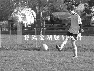 贷款逾期强制执行 贷款逾期强制执行