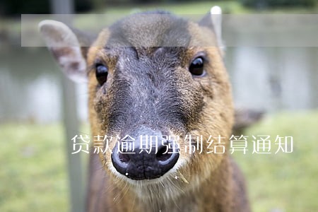 贷款逾期强制结算通知 贷款逾期强制结算通知