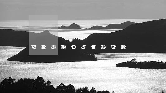 贷款逾期归还全部贷款 贷款逾期归还全部贷款