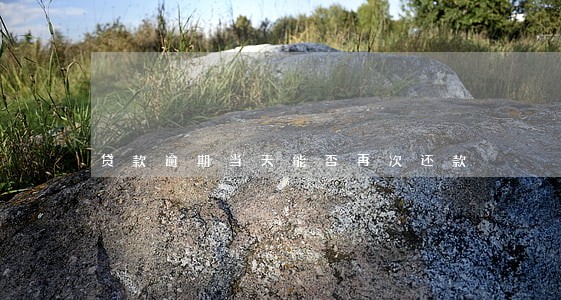 贷款逾期当天能否再次还款 贷款逾期当天能否再次还款