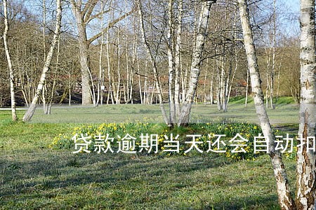 贷款逾期当天还会自动扣款 贷款逾期当天还会自动扣款