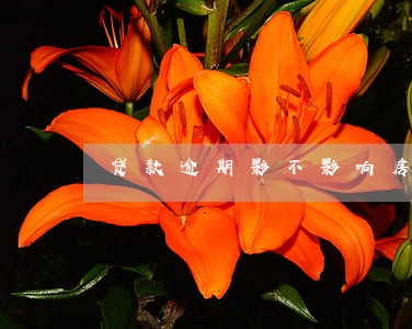 贷款逾期影不影响房贷 贷款逾期影不影响房贷