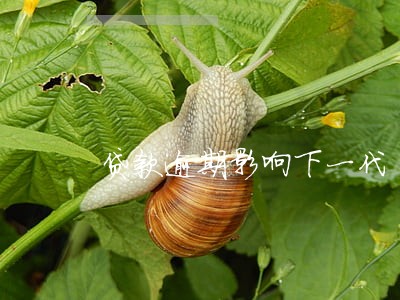 贷款逾期影响下一代 贷款逾期影响下一代