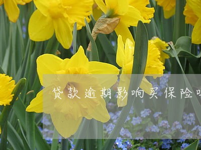 贷款逾期影响买保险吗 贷款逾期影响买保险吗