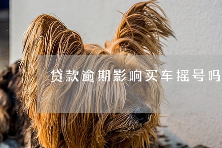 贷款逾期影响买车摇号吗 贷款逾期影响买车摇号吗