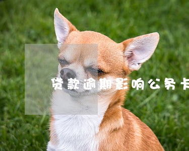 贷款逾期影响公务卡