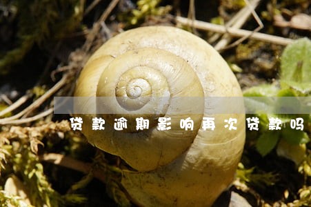 贷款逾期影响再次贷款吗 贷款逾期影响再次贷款吗