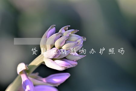 贷款逾期影响办护照吗 贷款逾期影响办护照吗