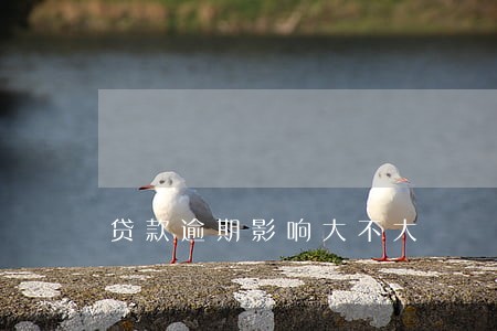 贷款逾期影响大不大 贷款逾期影响大不大