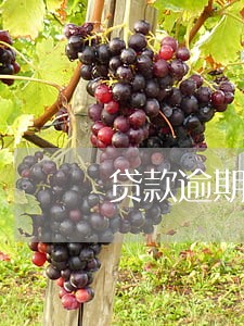 贷款逾期影响孩子上学吗 贷款逾期影响孩子上学吗