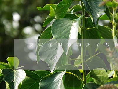 贷款逾期影响孩子考研究生吗 贷款逾期影响孩子考研究生吗