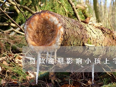 贷款逾期影响小孩上学不 贷款逾期影响小孩上学不