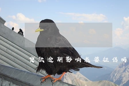 贷款逾期影响老婆征信吗