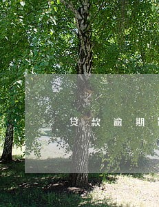 贷款逾期影响银行办理银行卡 贷款逾期影响银行办理银行卡