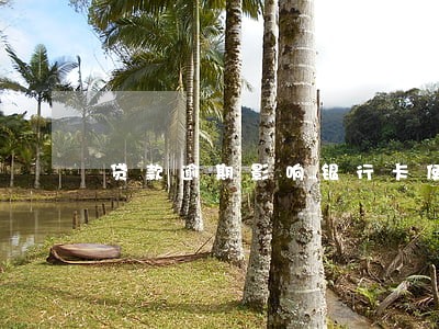 贷款逾期影响银行卡使用嘛 贷款逾期影响银行卡使用嘛