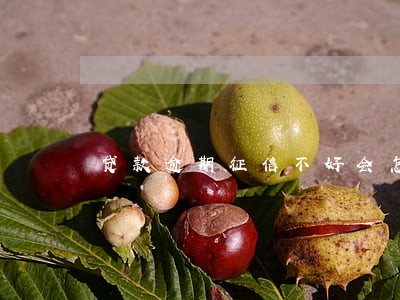 贷款逾期征信不好会怎么样 贷款逾期征信不好会怎么样