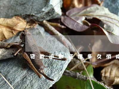贷款逾期征信多久消除6 贷款逾期征信多久消除6