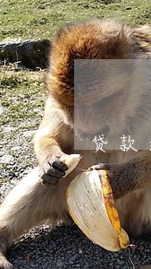 贷款逾期征信报告1 贷款逾期征信报告1