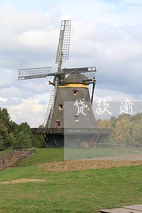 贷款逾期征信显示c