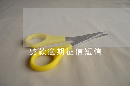 贷款逾期征信短信 贷款逾期征信短信