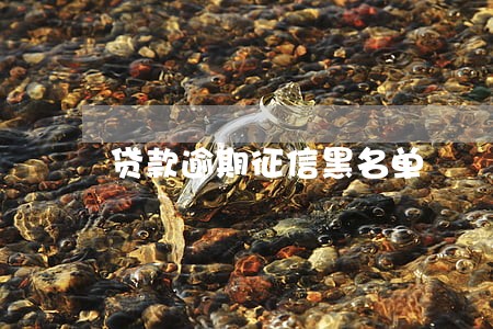 贷款逾期征信黑名单 贷款逾期征信黑名单