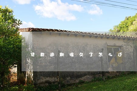 贷款逾期很久了怎么还 贷款逾期很久了怎么还