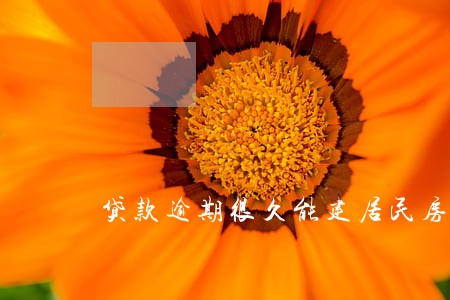 贷款逾期很久能建居民房吗 贷款逾期很久能建居民房吗