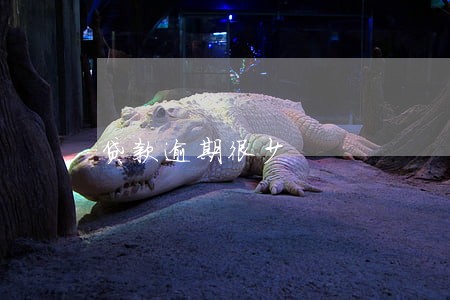 贷款逾期很少 贷款逾期很少