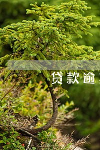 贷款逾期律师会上门吗 贷款逾期律师会上门吗