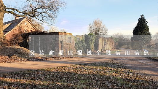 贷款逾期徐报送金融信用信息 贷款逾期徐报送金融信用信息