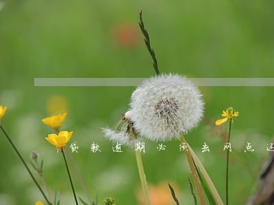 贷款逾期必须去网点还吗 贷款逾期必须去网点还吗