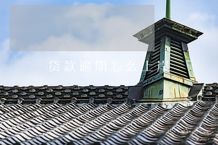 贷款逾期怎么上岸 贷款逾期怎么上岸