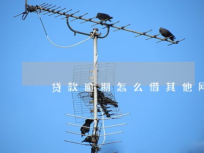 贷款逾期怎么借其他网贷 贷款逾期怎么借其他网贷