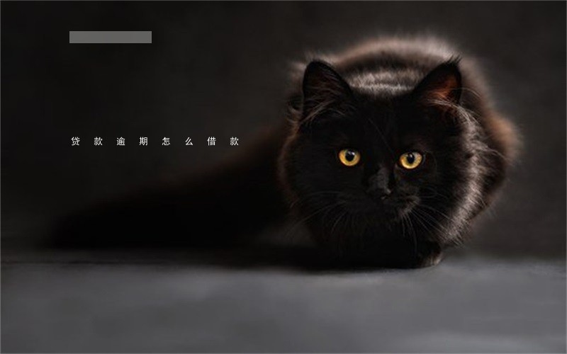 贷款逾期怎么借款 贷款逾期怎么借款