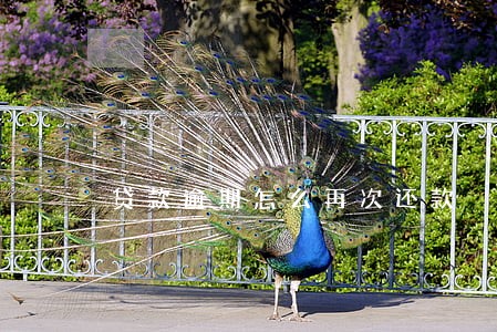 贷款逾期怎么再次还款 贷款逾期怎么再次还款