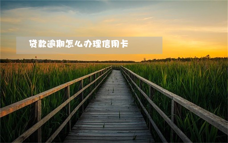 贷款逾期怎么办理信用卡 贷款逾期怎么办理信用卡