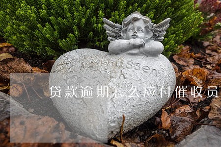 贷款逾期怎么应付催收员 贷款逾期怎么应付催收员