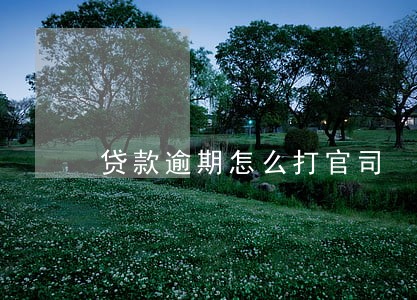 贷款逾期怎么打官司 贷款逾期怎么打官司