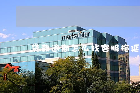 贷款逾期怎么找客服拖延 贷款逾期怎么找客服拖延