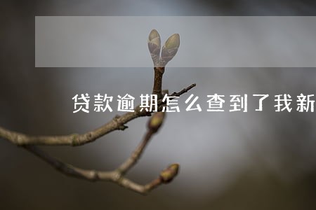 贷款逾期怎么查到了我新公司